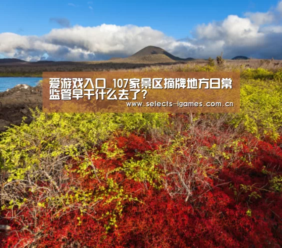 爱游戏入口_107家景区摘牌地方日常监管早干什么去了?(图1) 爱游戏入口