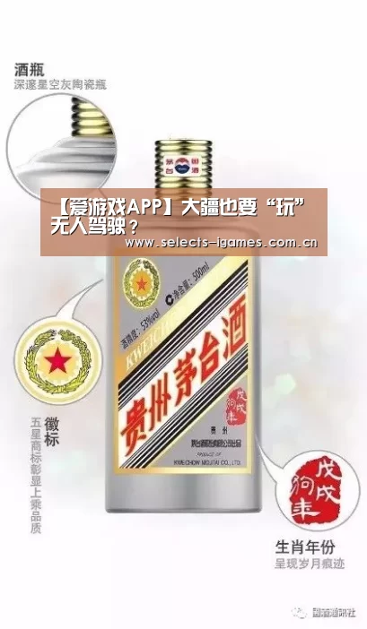 【爱游戏APP】大疆也要“玩”无人驾驶?(图3) 爱游戏入口