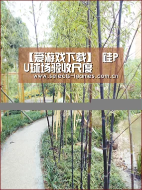 爱游戏全站