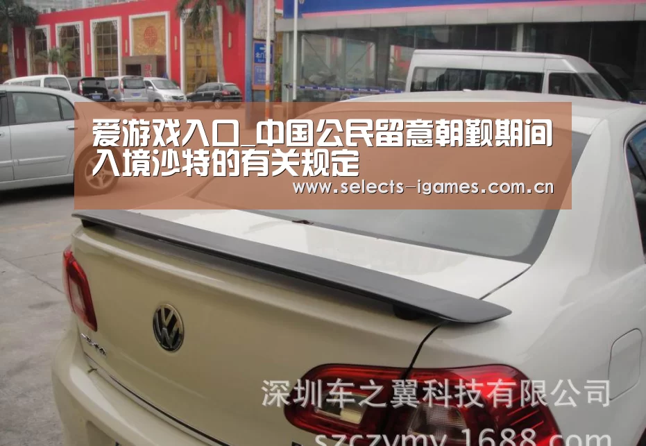 爱游戏入口_中国公民留意朝觐期间入境沙特的有关规定(图3) 爱游戏下载